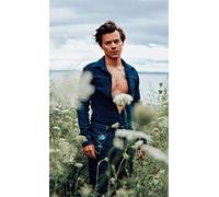 HKFLD Affiche de peinture diamant 5D avec le chanteur Harry Styles, broderie ronde en strass, point de croix, cadeaux faits main pour adultes et enfants 6k326g50x60CM