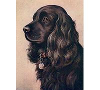 HKFLD Cocker anglais noir - Peinture diamant pour adultes, chiens, animaux, kit de peinture diamant 5D à faire soi-même, cadeau 6k48g30x40CM