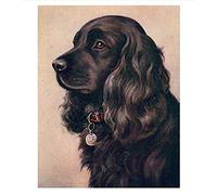 HKFLD Diamond Painting 5D DIY Kits Rhinestone Diamond Art Kits for Children English Cocker Spaniel Dog Warm Wall Decoration60x80cmf989