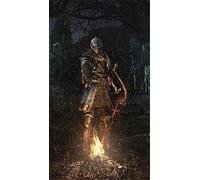 HKFLD Kits de peinture diamant 5D DIY, faits à la main, point de croix, pour adultes, kit de peinture numérique, art de la peinture Dark Soul 6k216g50x50CM