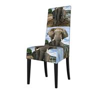 HKHLHLH Housse de chaise de salle à manger amovible et lavable, motif animaux sauvages africains, éléphants, housses de chaise extensibles pour protection de fête, universelle