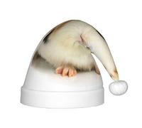 HKHLHLH Joli chapeau de Père Noël chantant en forme de cochon d'Inde, chapeau de Noël pour spectacles sur scène et événements scolaires, chapeau d'anniversaire de Noël