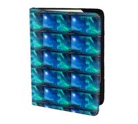 HKHLHLH Northern Lights1 Étui pour passeport 14 cm avec organiseur de cartes de crédit pour voyage, Noir , Taille unique