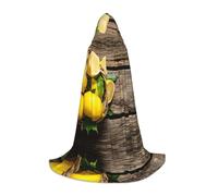 HKHLHLH One Basket Lemons Witch Vampire Wizard Costume Cape à capuche pour adolescents bal masqué Halloween fête cosplay