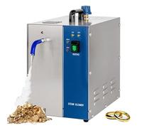 hKjPlvf Nettoyeur Vapeur pour Bijoux, 2 L/3 L, Nettoyeur Vapeur pour Pierres PréCieuses, pour Le Nettoyage des Diamants, De l'argent Et De l'or, Pression De Vapeur 4 Kg, TempéRature 135 °C,3L-2200W