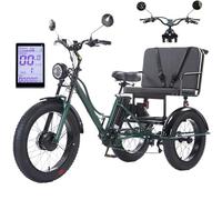 hKjPlvf Tricycle éLectrique pour Adulte (7 Vitesses), Charge De 158 Kg, Gros Pneus 24 Pouces avec SièGe Passager, éCran LCD Et Phare, Batterie Amovible 48 V/18 Ah, pour La Ville Et La Montagne Green