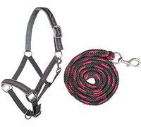 HKM 10025 Lot de Licol en Forme d'astérisques, Licol et Tricot, Mousqueton, Gris/Rose, shetty