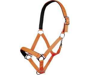 HKM 544096 Licol Stars Softice avec Doublure Souple