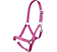 HKM 544105 Stars Licol Economy softice
