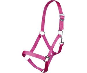 HKM 544105 Stars Licol Economy softice