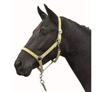 HKM 544117 Licol Stars Economy Softice