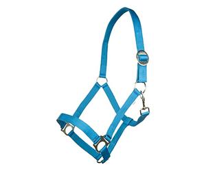 HKM 544135 Licol Stars Economy Softice