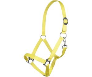 HKM 544138 Licol Stars Economy Softice