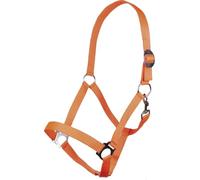 HKM 544145 Stars Licol Economy softice