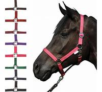 HKM 558579 Licol Stars Economy