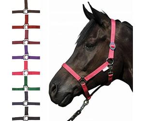 HKM 558580 Licol Stars Economy