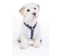 HKM ANAM Cara Basic Harnais pour Chien Bleu foncé/Bleu pétrole Taille M