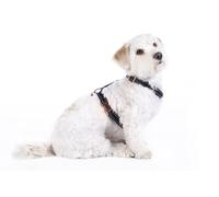 HKM ANAM Cara Basic Harnais pour Chien Noir/Or Rose Taille M