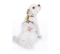 HKM ANAM Cara Basic Nylon Harnais pour Chien Taupe/Or Jaune S