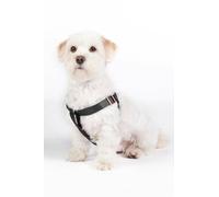 HKM ANAM Cara Harnais pour Chien Noir/Or Rose Taille L