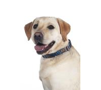 HKM ANAM Cara Printed Collier pour Chien Bleu Profond/Pétrole L