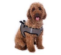 HKM Buddy Soft Harnais Gris Pierre S