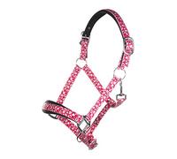 HKM Colour Breeze Licol Rose Shetty