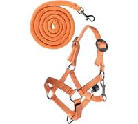 HKM Hobby Horsing Basic Licol et Longe Orange Taille Unique