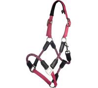 HKM Nele Licol Rose Mini Shetty