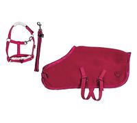 HKM Poney câlin Kit de démarrage Unisexe, Rouge, Taille Unique