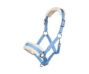 HKM Posten Bischofshofen Licol et Tricot Bleu bébé