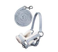 HKM SPORTS EQUIPMENT Hobby Horse Set de Licol (Gris)