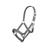 HKM Sports Equipment Licol propriétés - Economy -, tabac, Demi-sang