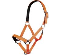 HKM Stars Softice Licol, Doublure Douce Orange Fluo Cheval