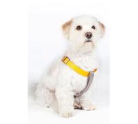HKM ANAM Cara Harnais pour Chien Taupe/Jaune doré Taille M