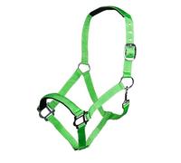 HKM Sydney Style Licol Vert Fluo Cheval