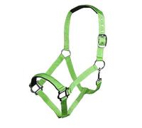 HKM Sydney Style Licol Vert Fluo Shetland poney