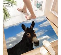 HKPOEQ Tapis Microfibre Extra Doux,Tapis Salle de Bain Antidérapant et Lavable en Machine,Tapis de Douche Absorbant l'eau,Gros Plan sur Un âne Noir à l'expression Calme, sur Fond de Ciel Bleu,40x60cm