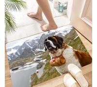 HKPOEQ Tapis Microfibre Extra Doux,Tapis Salle de Bain Antidérapant et Lavable en Machine,Tapis de Douche Absorbant l'eau,Chien de Sauvetage Alpin, Cou avec Petit Canon Belle Saint-Bernard,40x60cm