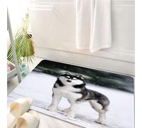 HKPOEQ Tapis Salle de Bain Antidérapant,Moelleux en Microfibre,Absorbant l'eau,Lavable en Machine,pour Douche,Portrait d'un Husky sibérien Noir et Blanc sur Fond de Neige Bleue. Chiens sur f,50x80 cm