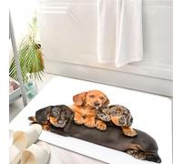 HKPOEQ Tapis Salle de Bain Antidérapant,Moelleux en Microfibre,Absorbant l'eau,Lavable en Machine,pour Douche,Groupe de Chiots teckels couchés Ensemble. isolés sur Fond Blanc,50x80 cm