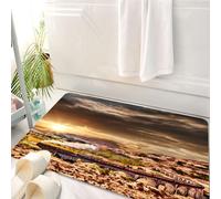 HKPOEQ Tapis Salle de Bain Antidérapant,Moelleux en Microfibre,Absorbant l'eau,Lavable en Machine,pour Douche,Wizard School Express Célèbre Chemin de Fer à Vapeur Superbe Vue Paysage Viaduc,50x80 cm
