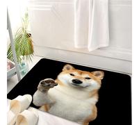 HKPOEQ Tapis Salle de Bain Antidérapant,Moelleux en Microfibre,Absorbant l'eau,Lavable en Machine,pour Douche,Portrait d'un Adorable Shiba Inu. Il a l'air Amical et Donne la Patte.,50x80 cm