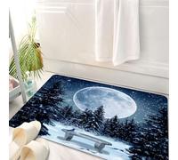 HKPOEQ Tapis Salle de Bain Antidérapant,Moelleux en Microfibre,Absorbant l'eau,Lavable en Machine,pour Douche,Vue Nocturne d'hiver, forêt sous l'immense Lune, avec Un Oiseau Bleu sur Le Banc,50x80 cm