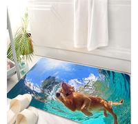 HKPOEQ Tapis Salle de Bain Antidérapant,Moelleux en Microfibre,Absorbant l'eau,Lavable en Machine,pour Douche,Photo sous-Marine d'un Chiot Labrador Retriever doré dans Une Piscine extérieure,50x80 cm
