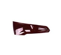 HKRCAMCRtc Cache de feu arrière de Voiture Compatible avec Q5 Q5L 2018-020 Coque de feu arrière Cache de feu arrière Masque de Feux de freinage(Left)