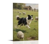 HKXXMTQMM A Border Collie Herding Sheep, Movements Agile Décoration murale contemporaine à suspendre 50 x 75 cm