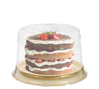 HKYBCF Boîte d'emballage 10Pcs Cake Cheese Storage Box Transparent Pet Containers With Lids Plastic Boxes For Bags Festive Party pour gâteaux(16.5X16.5X10CM)