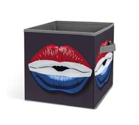 HLBSDM Boîtes de rangement en tissu à motifs de drapeaux néerlandais, cubes pliables de 27 cm (10,6 pouces) pour l'organisation des chambres d'étudiants et de la maison