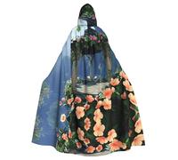 HLBSDM Canyon Pavilion Cape à capuche adulte pour Halloween, longue cape de sorcière, vampire, costume médiéval, Renaissance, pour cosplay, bal masqué et soirées à thème